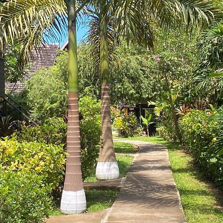 Secret Cabins At Firefly Beach Cottage Negril Eksteriør billede