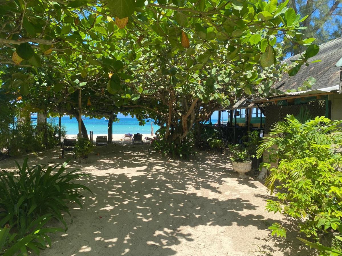 Secret Cabins At Firefly Beach Cottage Negril Eksteriør billede